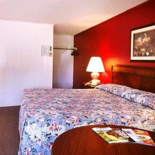 ويلز The Tallwood Motel الغرفة الصورة